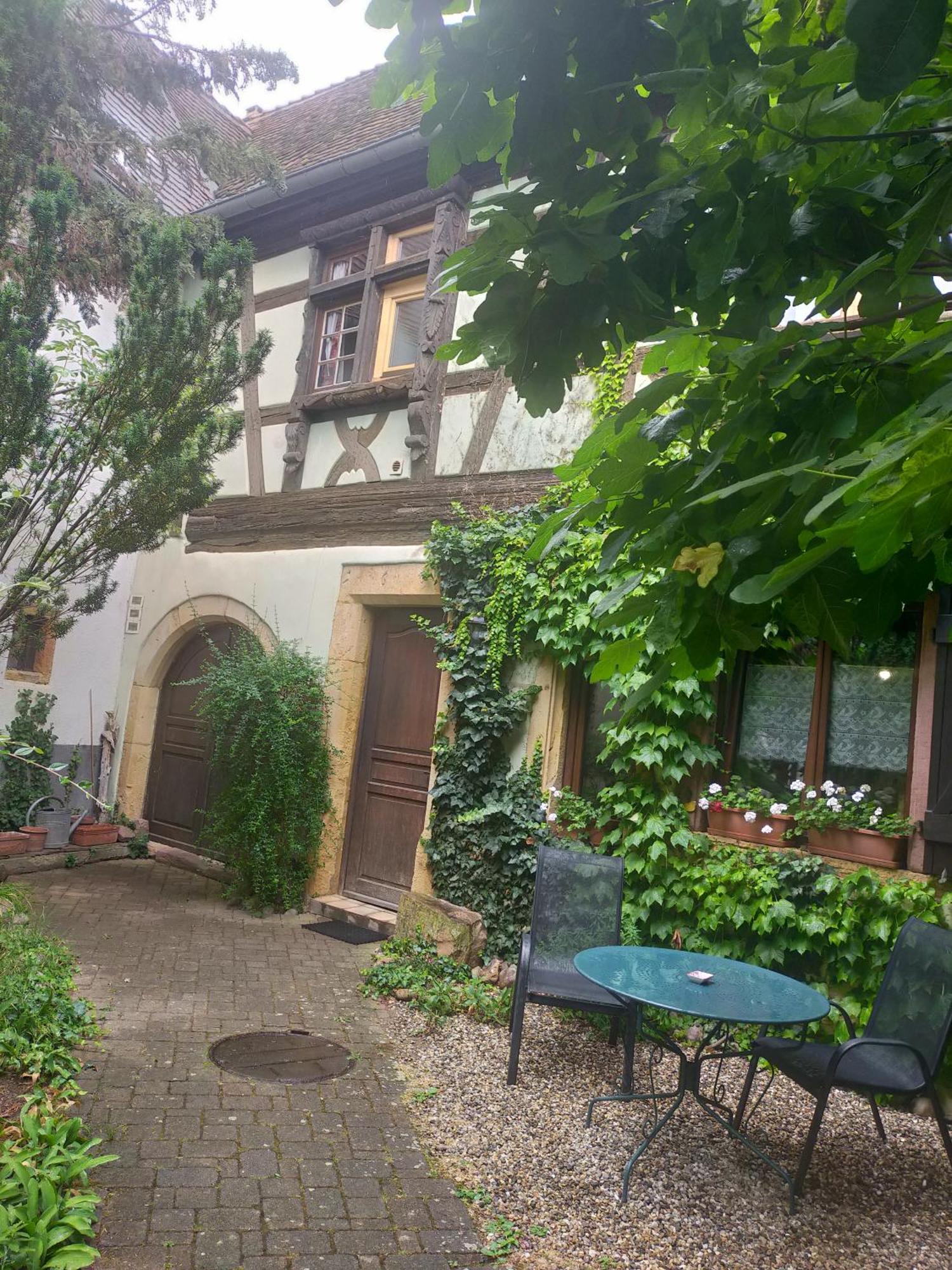 Apt. La Grenouillère De Turckheim Exterior foto