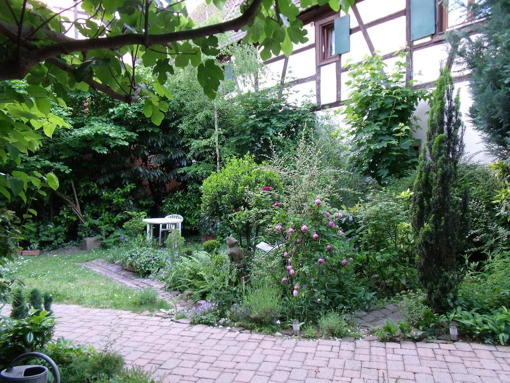 Apt. La Grenouillère De Turckheim Zimmer foto